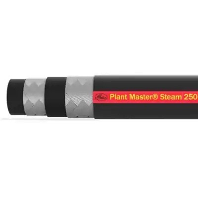 Plant Master Steam 250 - 205MB Steam King ~ 3/8 pulg - 50